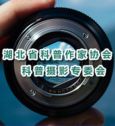 科普摄影专委会